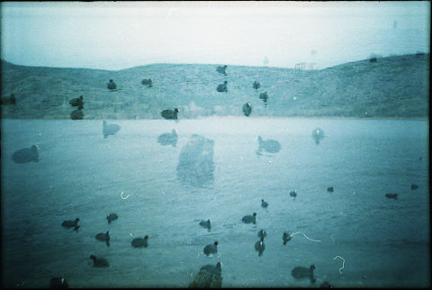 lomo-117.jpg