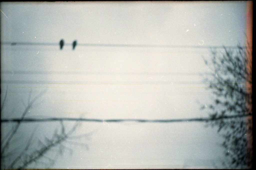 lomo-125.jpg